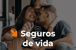 capa seguros 150x98 px 13