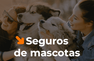 capa seguros 150x98 px 15