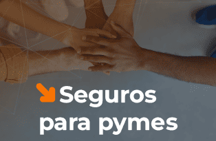 capa seguros 150x98 px 17