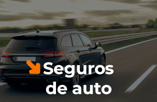 capa seguros 150x98 px 18