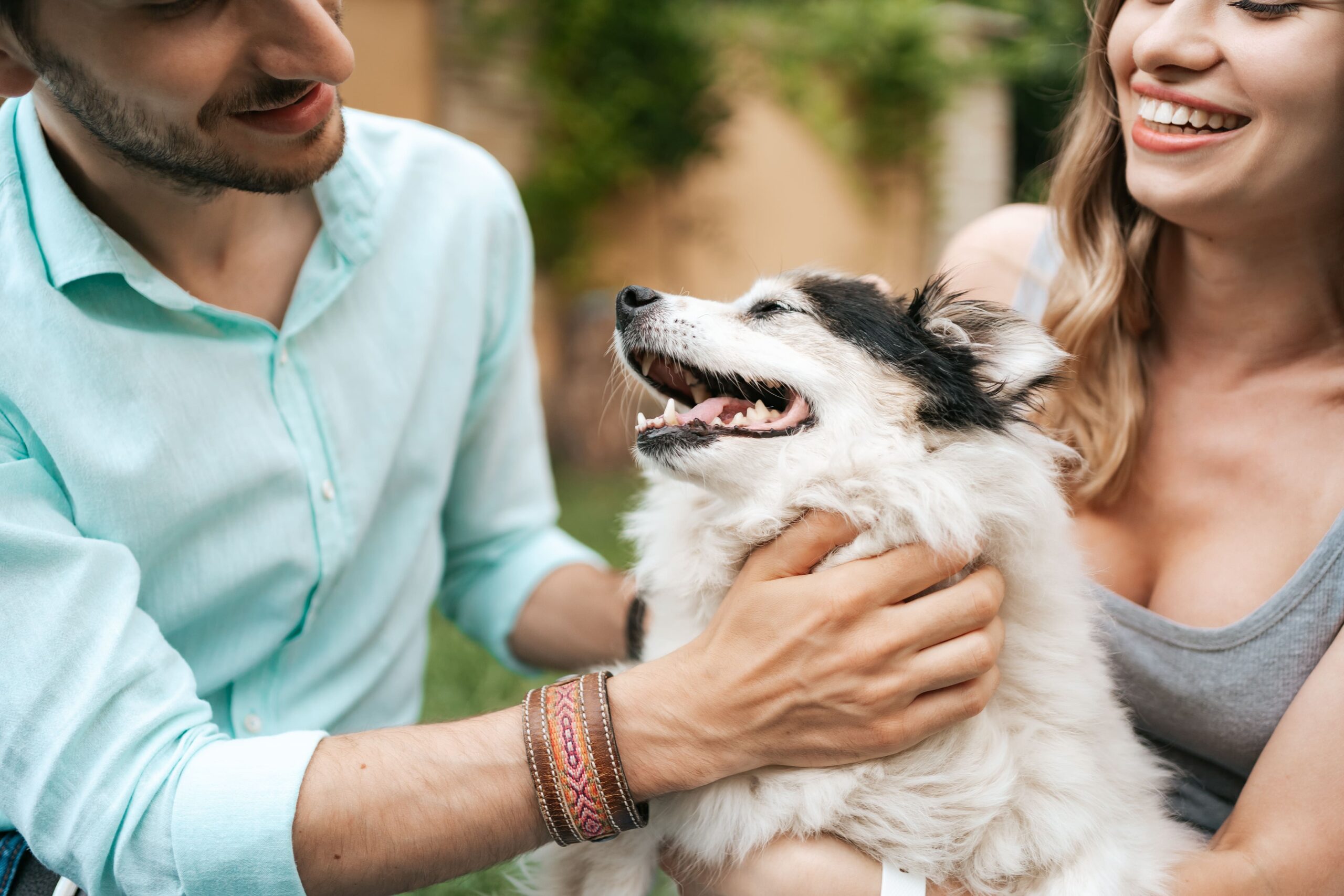 happy couple guys playing with their dog backyard grass cheerful old dog